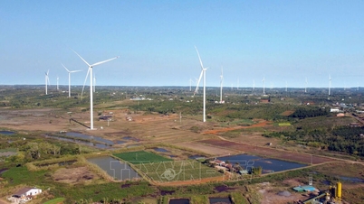 Plus de 800 milliards de VND ont été alloués à la modernisation du réseau électrique de Lam Dong.