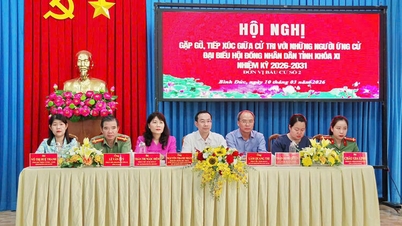 Para kandidat Dewan Rakyat Provinsi bertemu dengan para pemilih di lingkungan Binh Duc.