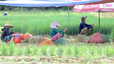 Huong An: Mengembangkan "keranjang sayur" Hue bersamaan dengan lanskap dan pariwisata.