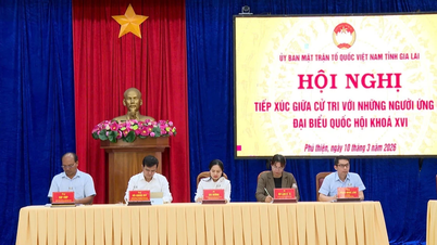 អ្នកបោះឆ្នោតវាយតម្លៃខ្ពស់ចំពោះការប្តេជ្ញាចិត្ត និងស្មារតីទទួលខុសត្រូវរបស់បេក្ខជនសម្រាប់រដ្ឋសភានីតិកាលទី ១៦។