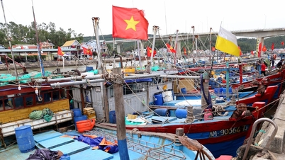 Com o aumento dos preços dos combustíveis, muitos barcos na província de Nghe An estão encalhados.