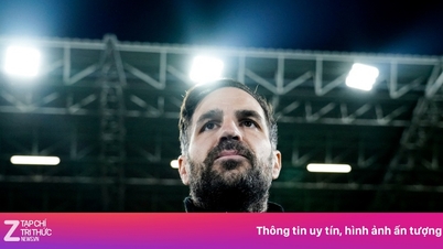 Fabregas: „Amikor elveszíted a labdát, úgy kell támadnod, mint az állatok”