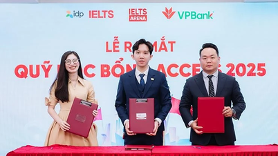 Le fonds de bourses Access by IELTS ARENA a achevé sa première phase, avec 2 000 bourses disponibles pour 2025.