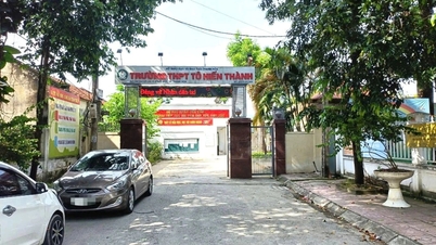 Keputusan siasatan terhadap kes 39 guru yang memasukkan dan mengubah gred pelajar pada sistem VnEdu.
