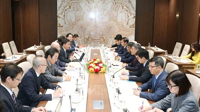 El camarada Le Minh Hung recibe al Asesor Especial de la Alianza de Amistad Parlamentaria Japón-Vietnam.