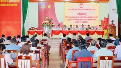 Die Kandidaten für den Volksrat der Provinz Gia Lai trafen sich mit Wählern in den Gemeinden Binh Duong und An Luong.