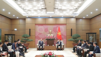 Deputy Secretary of the National Assembly Party Committee Vu Hai Ha receives Special Advisor to the Japan-Vietnam Parliamentary Friendship Alliance