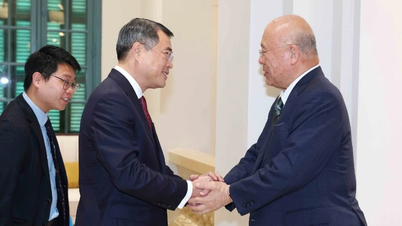 Voorzitter van het Centraal Organisatiecomité ontvangt speciaal adviseur van de Japans-Vietnamese Parlementaire Vriendschapsalliantie