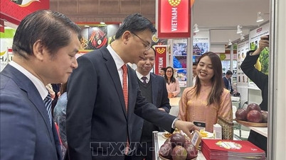 Wietnamskie przedsiębiorstwa rolne potwierdzają swoją pozycję na targach Foodex Japan 2026.