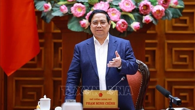 Premiärminister Pham Minh Chinh: Vi får inte tillåta energibrist under några omständigheter.