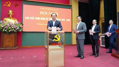 Le Comité exécutif du Comité provincial du Parti de Thai Nguyen a élu un secrétaire adjoint supplémentaire du Comité provincial du Parti pour le mandat 2025-2030.
