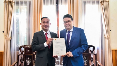 Beviljande av konsulärt godkännandebrev till Salomonöarnas honorärkonsul i Ho Chi Minh-staden