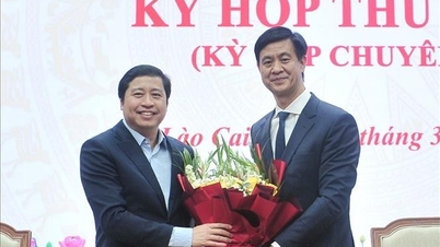 Thai Nguyen ve Lao Cai illerinin Halk Komiteleri Başkan Yardımcılığı seçim sonuçlarının onaylanması.