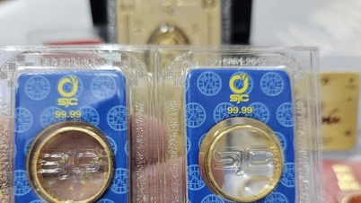 أسعار الذهب اليوم، 11 مارس 2026: سعر الذهب المحلي في منطقة سانت جوزيف، وسعر الذهب في الخواتم، وسعر الذهب العالمي (الرابع أعلى سعر).