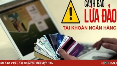 Mise en garde contre les arnaques visant les étudiants pour leur ouvrir des comptes bancaires, aidant ainsi les criminels.