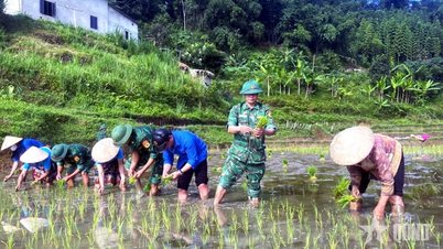 L’efficacité des modèles d’assistance communautaire mis en œuvre par les gardes-frontières de Thanh Hoa.
