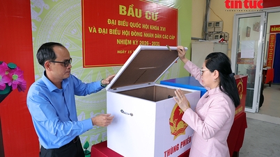 Las localidades de Ciudad Ho Chi Minh están listas para el día de las elecciones del 15 de marzo.