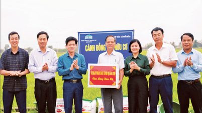 Aspiration for a green transformation