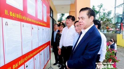 Ordföranden för folkkommittén i Nghe An-provinsen, Vo Trong Hai, inspekterade valförberedelserna i Cua Lo-distriktet och kommunerna Hai Loc, Phuc Loc och Van Kieu.
