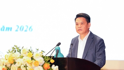 Người ứng cử HĐND thành phố Hải Phòng khóa XVII tiếp xúc cử tri tại đơn vị bầu cử số 9