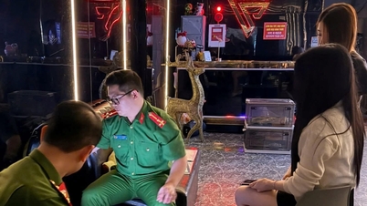 Hai Phong: Reviewing 181 businesses operating under specific conditions, 50 businesses fined for violations.