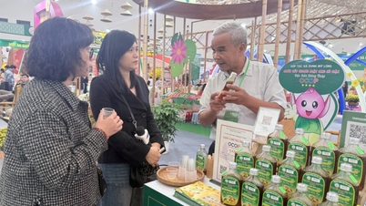 ក្រសួងឧស្សាហកម្ម និងពាណិជ្ជកម្ម អំពាវនាវឱ្យមានការអនុវត្តយ៉ាងម៉ឺងម៉ាត់នូវការគាំទ្រដល់អាជីវកម្ម និងអាជីវកម្មគ្រួសារ។