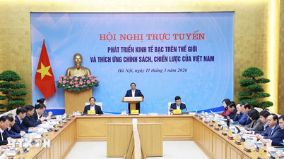 Prime Minister Pham Minh Chinh chaired a conference on the development of the "silver economy".