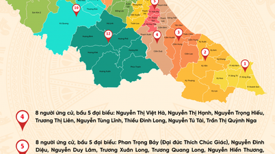 Lista de distritos electorales y candidatos para el Consejo Popular Provincial de Ha Tinh, período 2026-2031