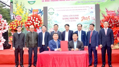 Die Sang Nhung Cooperative legt Wert auf die Qualität jedes einzelnen Produkts.