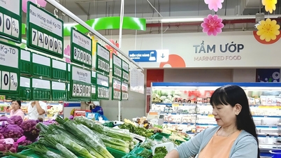 Las actividades comerciales y de servicios experimentaron un fuerte crecimiento.