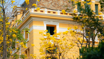 Vårsjarm i Hanoi