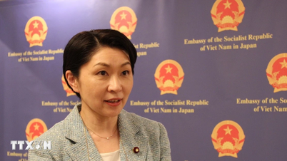 La cooperación parlamentaria constituye la base de las relaciones entre Vietnam y Japón.
