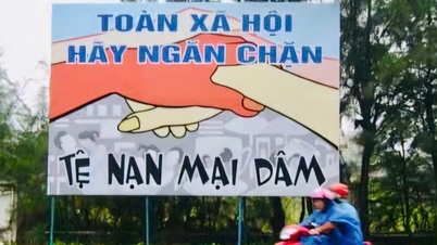 Ciudad Ho Chi Minh: Reglamento sobre el funcionamiento del Equipo de Inspección Interinstitucional para la prevención y el control de la prostitución.