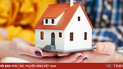 Az évi 500 millió VND-nál kevesebb bérleti díjbevétel nem adóköteles.