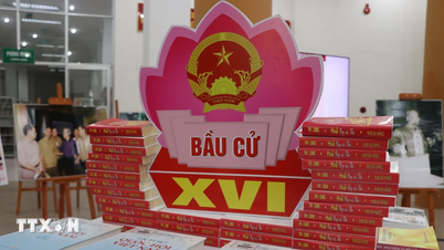 Hue City Library displays information about the National Assembly and People's Council elections.
