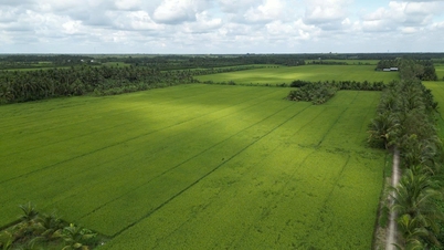 Extinderea modelului agriculturii verzi: Lecții de la oameni de succes.