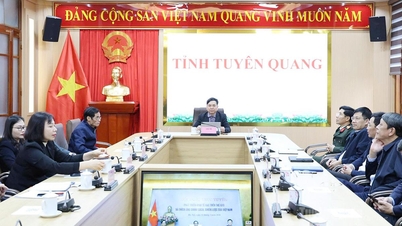 Quan tâm đến việc chăm lo và tạo điều kiện thuận lợi cho sự đóng góp của cộng đồng người cao tuổi