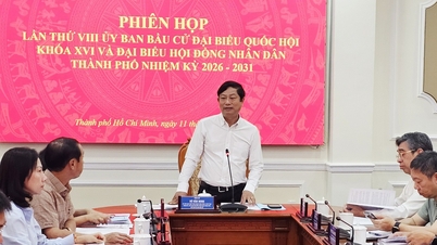 Ho-Chi-Minh-Stadt nutzt VNeID, um über 9,6 Millionen Wähler für die Wahl am 15. März zu verifizieren.
