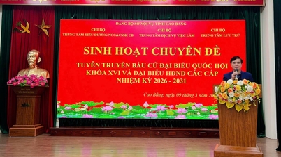 Tre partiavdelningar under partikommittén vid Cao Bang-provinsens inrikesdepartement organiserade ett temamöte om "Propaganda för valet av ledamöter till den 16:e nationalförsamlingen och ledamöter till folkråden på alla nivåer för mandatperioden 2026-2031".