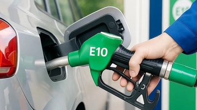 E10ガソリンの使用を促進することで、従来のガソリンの供給に対する圧力が軽減されます。