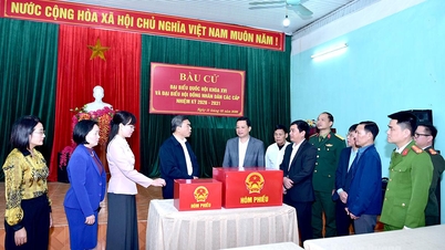 Secretarul adjunct al Comitetului Provincial al Partidului și președintele Comitetului Frontului Patriei Vietnam din provincie, Ma The Hong, a inspectat lucrările de pregătire a alegerilor în districtele An Tuong și Nong Tien.