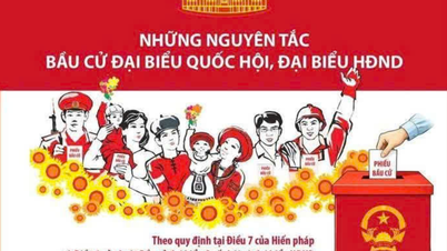 Basic principles in the election of National Assembly and People's Council representatives at all levels.