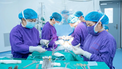 O Ministério da Saúde exige uma revisão e verificação mais rigorosas dos registros de doação e transplante de órgãos.
