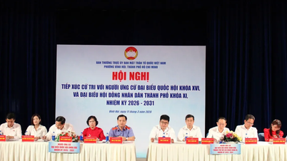 Los votantes del barrio de Vinh Hoi solicitaron una mayor supervisión y mejora de las leyes para reflejar mejor las realidades prácticas.