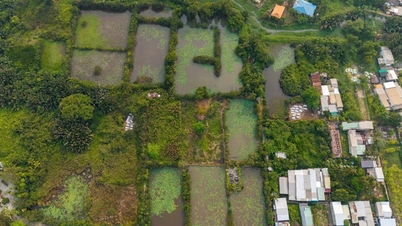 Ho Chi Minh şehrinde tazminat, destek ve yeniden yerleşimle ilgili yeni düzenlemeler.
