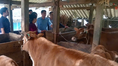 A Conferência Nacional sobre Zootecnia e Ciência Veterinária de 2026 ocorreu nos dias 27 e 28 de março.