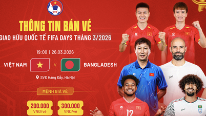 ¿Cuánto cuestan las entradas para ver la prueba del equipo nacional vietnamita en el estadio Hang Day antes del gran partido contra Malasia?