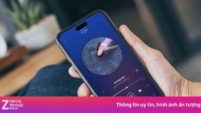 A vietnami zenei streaming platform, amely a legtöbb felhasználóval rendelkezik Vietnamban.