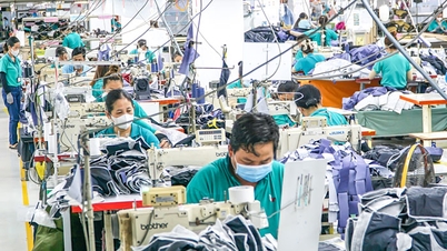 En toda la provincia hay más de 12.900 empresas activas.