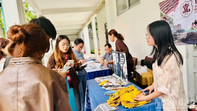 Stipendmuligheter innen halvledere, høyteknologi, STEM og finans for vietnamesiske studenter.